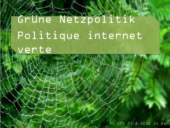 gr ne netzpolitik politique internet verte