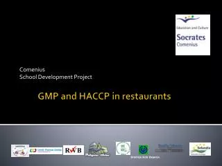 comenius school development project