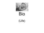 Bio - slide 1
