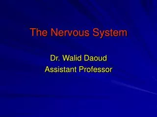 The Nervous System