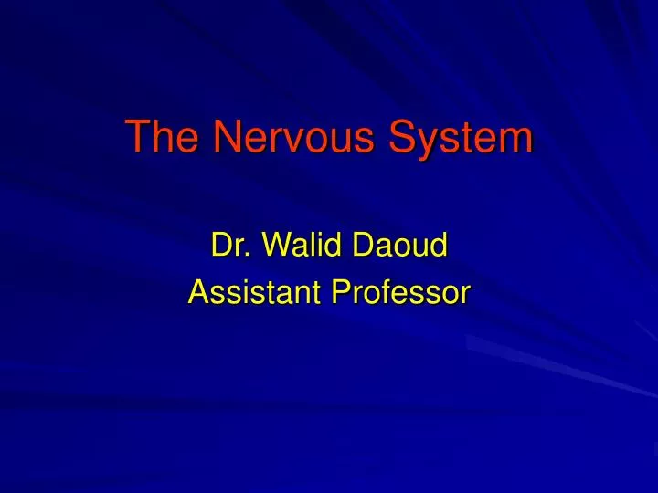 the nervous system