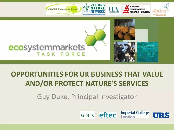 opportunities for uk business that value and or protect nature s services