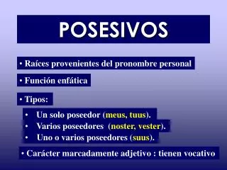 posesivos
