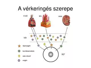 a v rkering s szerepe