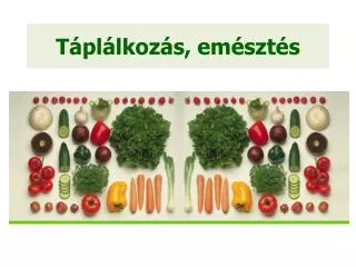 t pl lkoz s em szt s