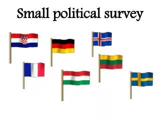 Small political survey