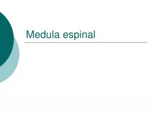 medula espinal
