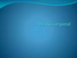 medula espinal