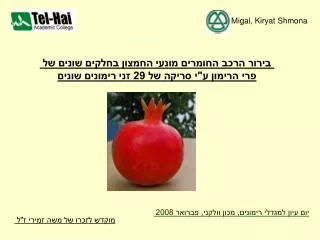 Migal, Kiryat Shmona