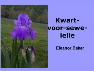 kwart voor sewe lelie