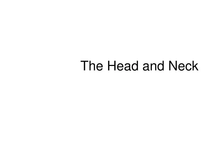 the head and neck