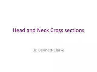 Head and Neck Cross sections