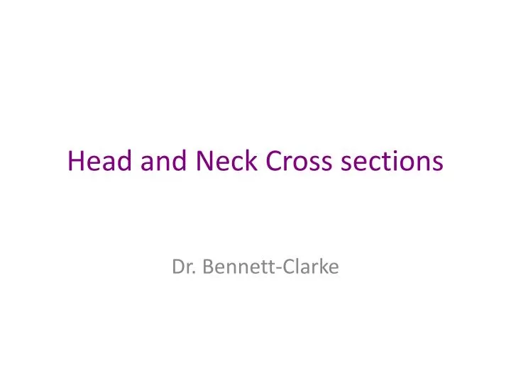 head and neck cross sections