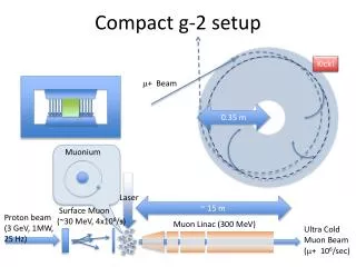 compact g 2 setup