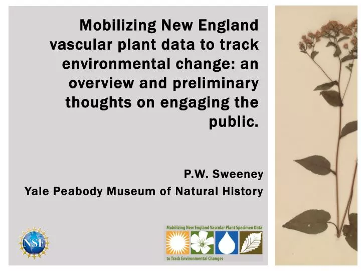 p w sweeney yale peabody museum of natural history
