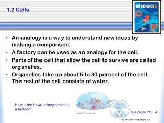 1 2 cells