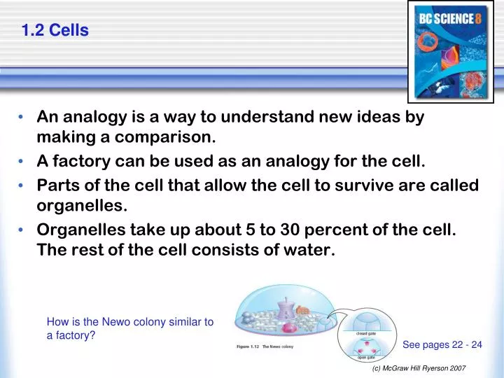 1 2 cells