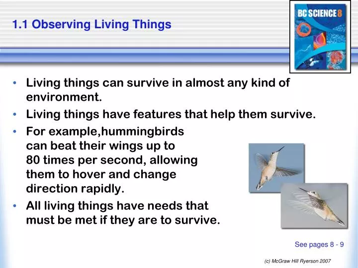1 1 observing living things