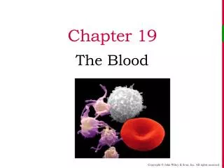 Chapter 19