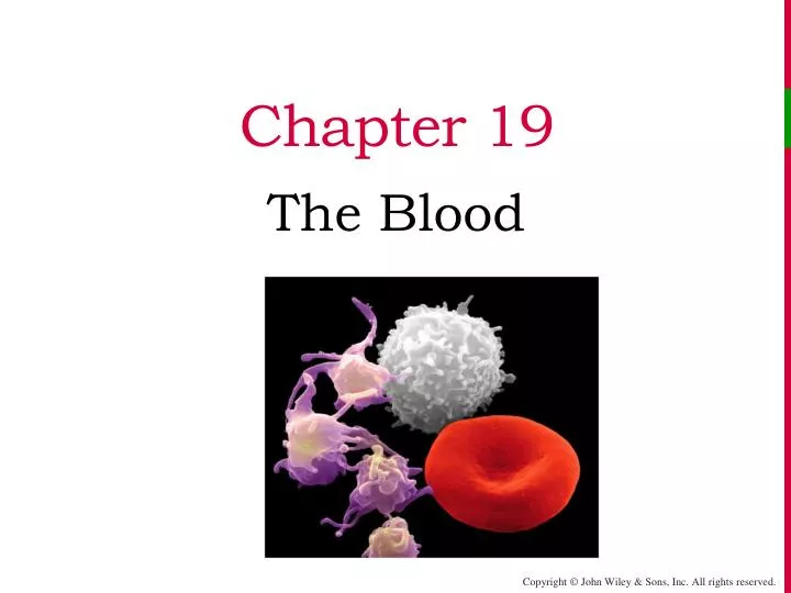 chapter 19
