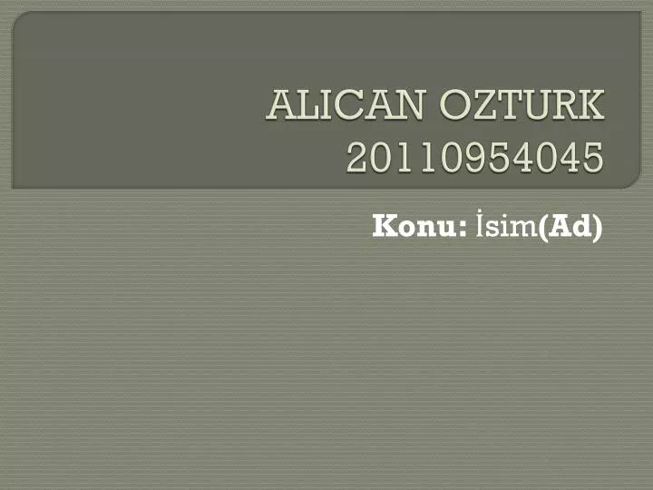 alican ozturk 20110954045