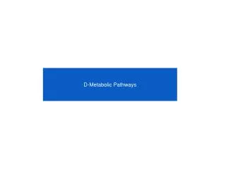 D-Metabolic Pathways