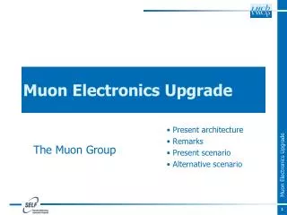 Muon Electronics Upgrade