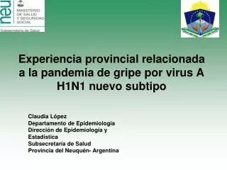 experiencia provincial relacionada a la pandemia de gripe por virus a h1n1 nuevo subtipo