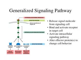 Generalized Signaling Pathway