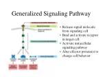 Generalized Signaling Pathway - slide 1