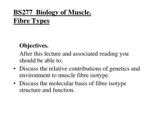 BS277 Biology of Muscle. Fibre Types