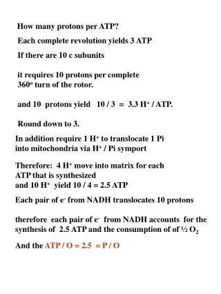 How many protons per ATP?