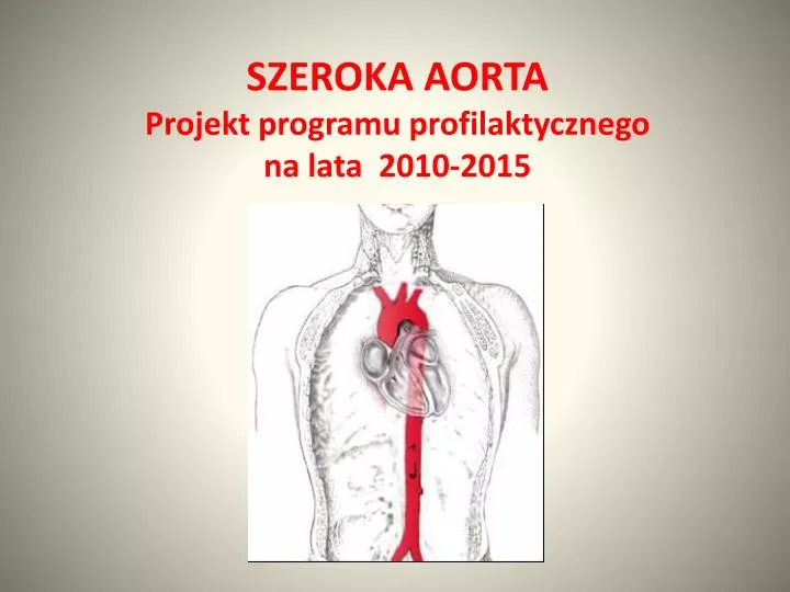 szeroka aorta projekt programu profilaktycznego na lata 2010 2015