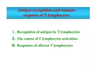 Antigen recognition and immune response of T lymphocytes