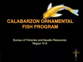CALABARZON ORNAMENTAL FISH PROGRAM