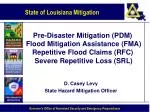 D. Casey Levy State Hazard Mitigation Officer - slide 1