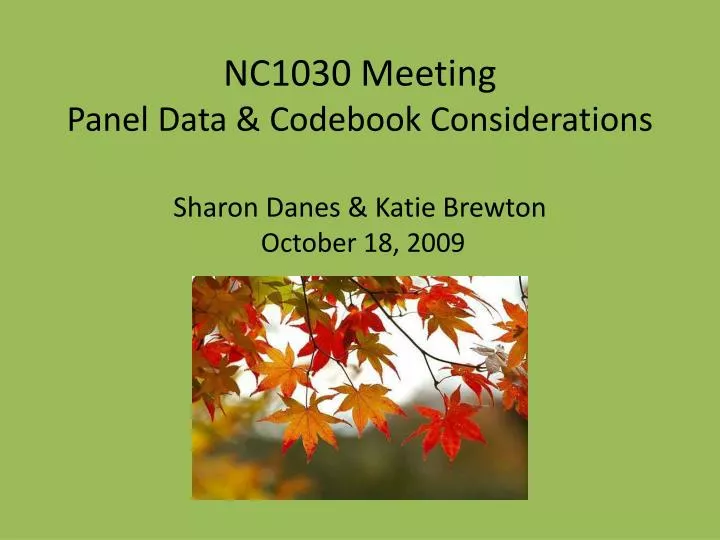 nc1030 meeting panel data codebook considerations sharon danes katie brewton october 18 2009