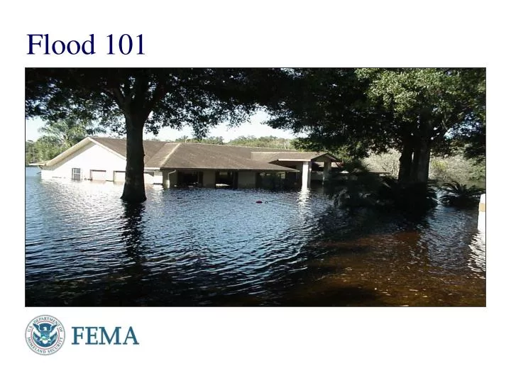 flood 101