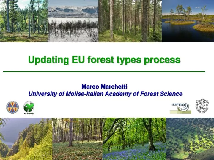 updating eu forest types process