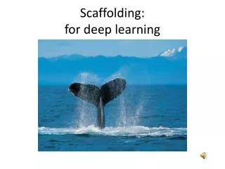 Scaffolding: for deep learning