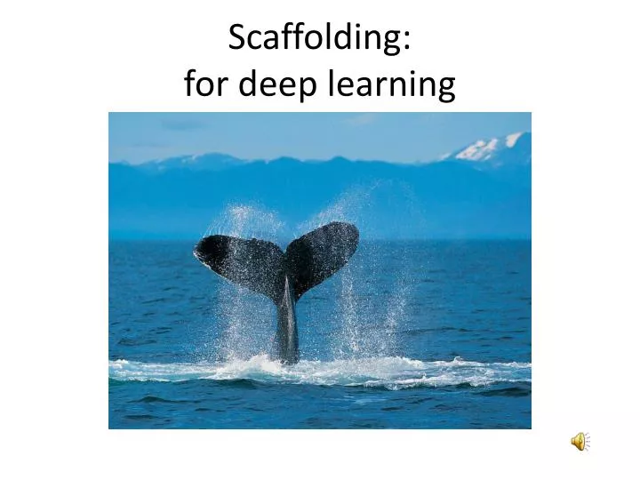 scaffolding for deep learning