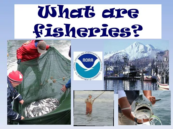 what are fisheries