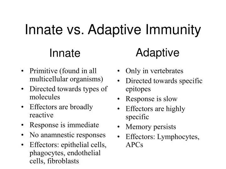 innate vs adaptive immunity