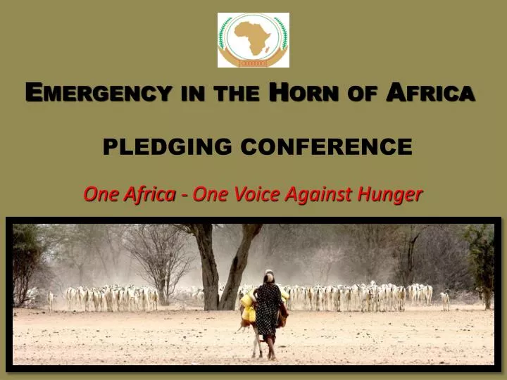 emergency in the horn of africa pledging conference