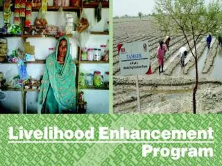 Livelihood Enhancement Program (ON Farm)