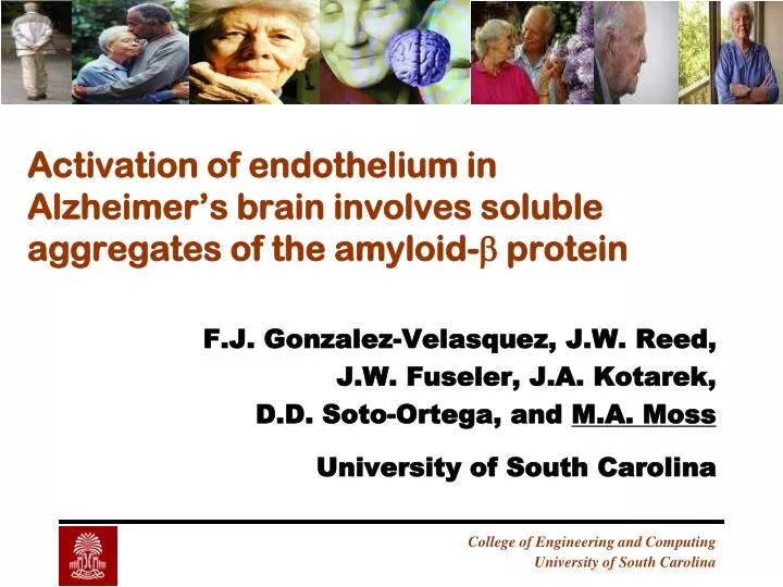 activation of endothelium in alzheimer s brain involves soluble aggregates of the amyloid b protein