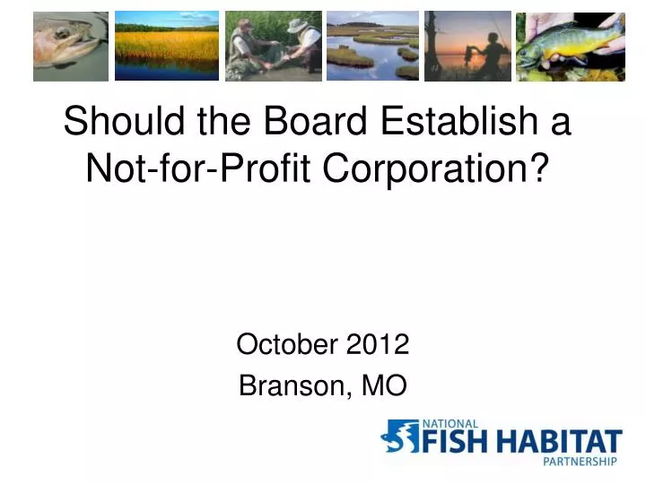 should the board establish a not for profit c orporation