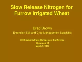 Slow Release Nitrogen for Furrow Irrigated Wheat