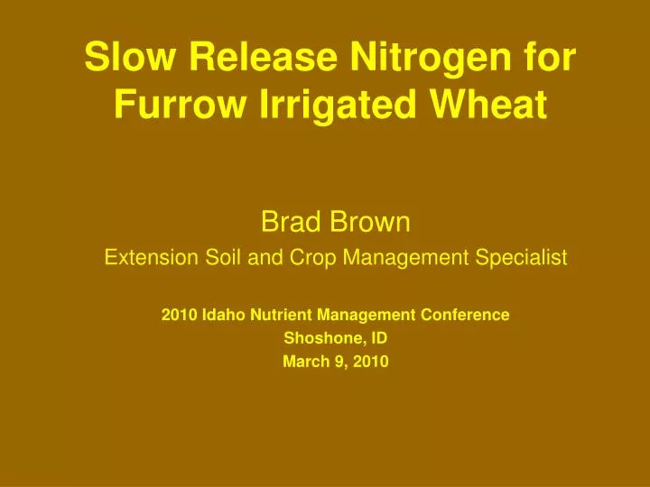 slow release nitrogen for furrow irrigated wheat