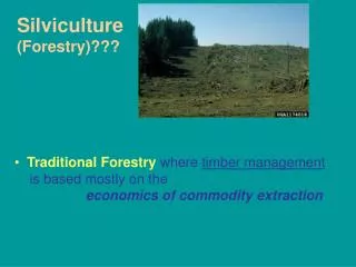 Silviculture (Forestry)???
